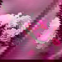 Picture of Person